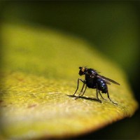 /album/liderazgo-matematico-/photolia-a07-jpg/